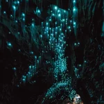 image of glow worms in cave with water