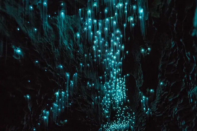 image of glow worms in cave with water
