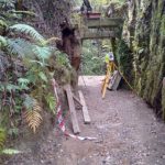 image of improvements to Omanawa Falls track