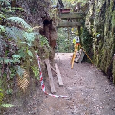 image of improvements to Omanawa Falls track