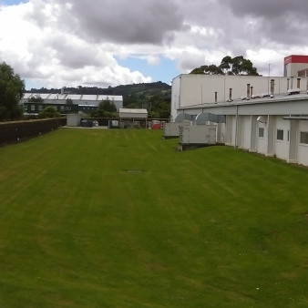 image of Griffins building