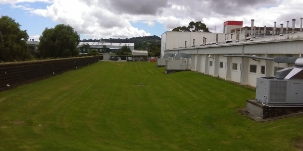 image of Griffins building