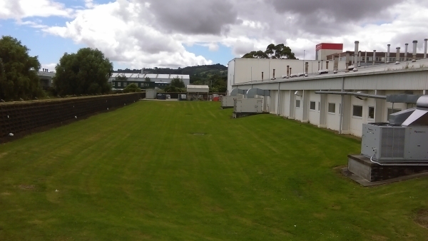 image of Griffins building