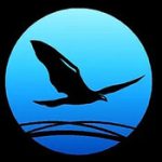 nicklin ce logo cropped