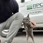 RPC Land Surveyor at work with pet cat