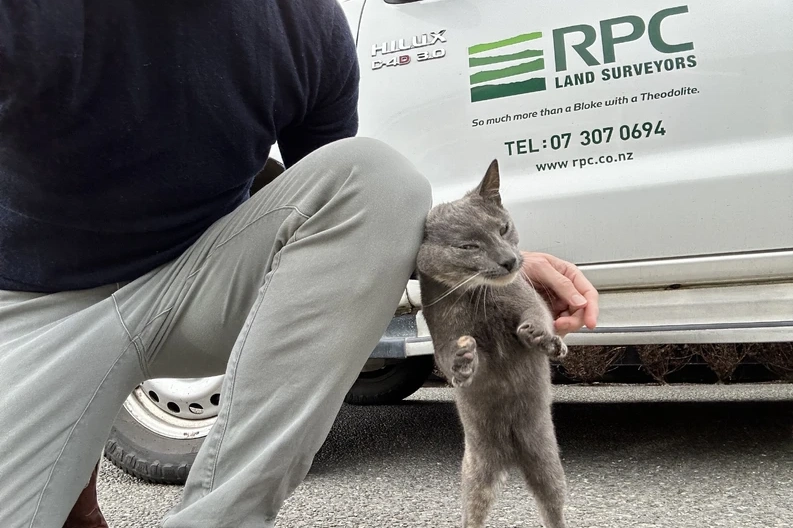 RPC Land Surveyor at work with pet cat