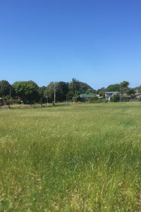 image of field of grass with houses in background in Athenree