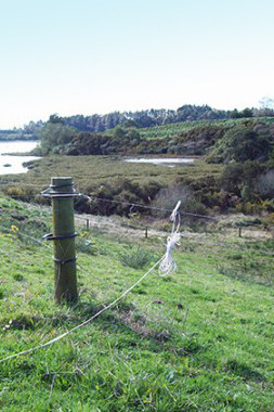 image of fence post overlooking Tides Reach