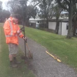 Image of survey chainman on the job working
